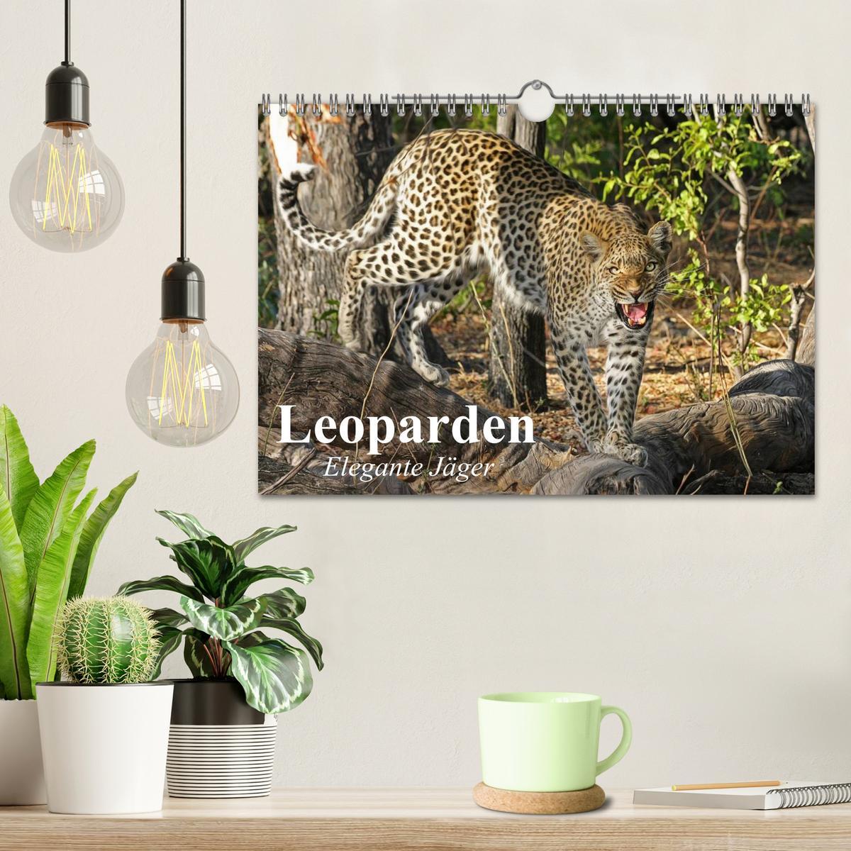 Bild: 9783435600908 | Leoparden. Elegante Jäger (Wandkalender 2025 DIN A4 quer), CALVENDO...