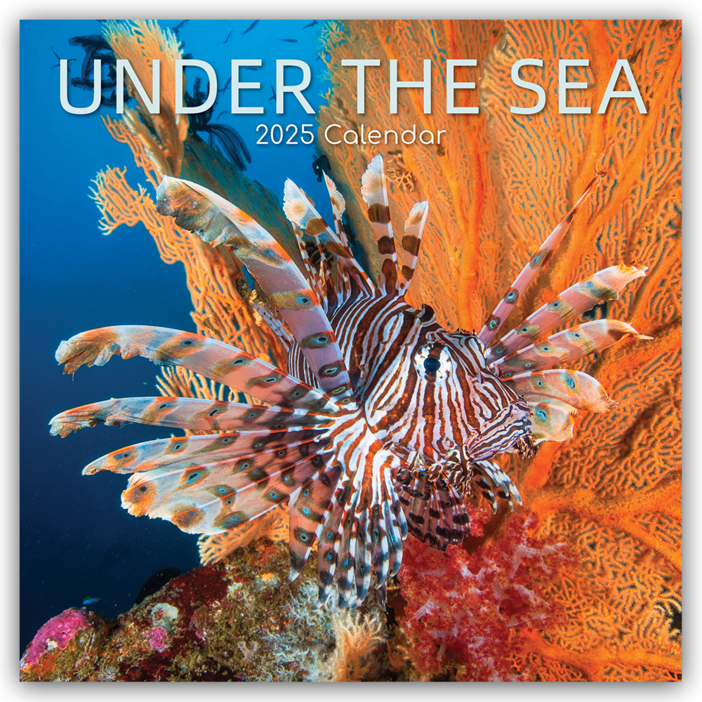 Cover: 9781835362402 | Under the Sea - Tropische Fische 2025 - 16-Monatskalender | Ltd | 2025