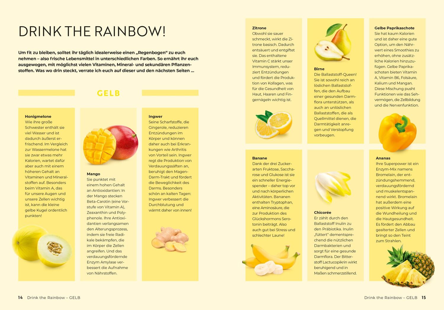 Bild: 9783965844100 | Drink the Rainbow | Monica Meier-Ivancan | Taschenbuch | 160 S. | 2024