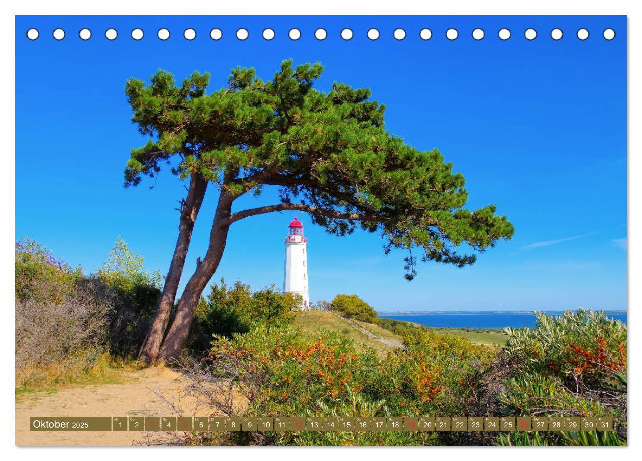 Bild: 9783435264216 | Insel Hiddensee - Dat söte Länneken (Tischkalender 2025 DIN A5...