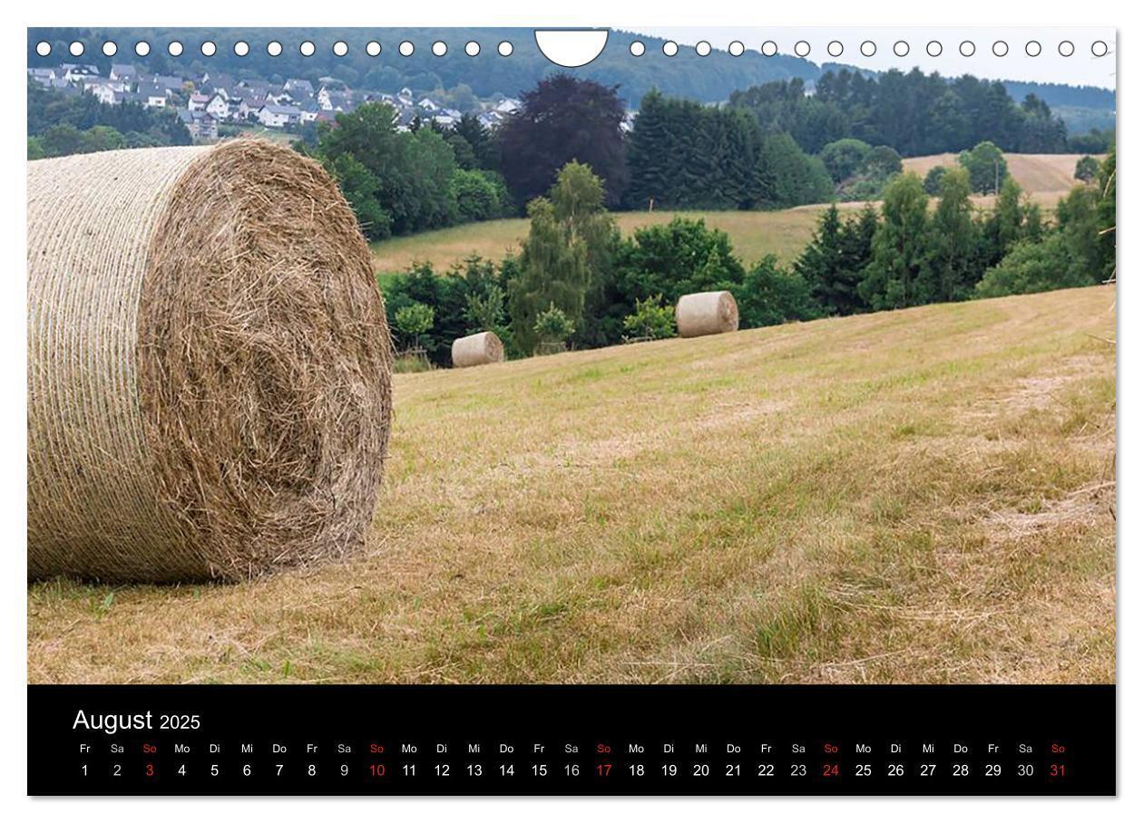 Bild: 9783435642427 | Meine Heimat Westerwald (Wandkalender 2025 DIN A4 quer), CALVENDO...