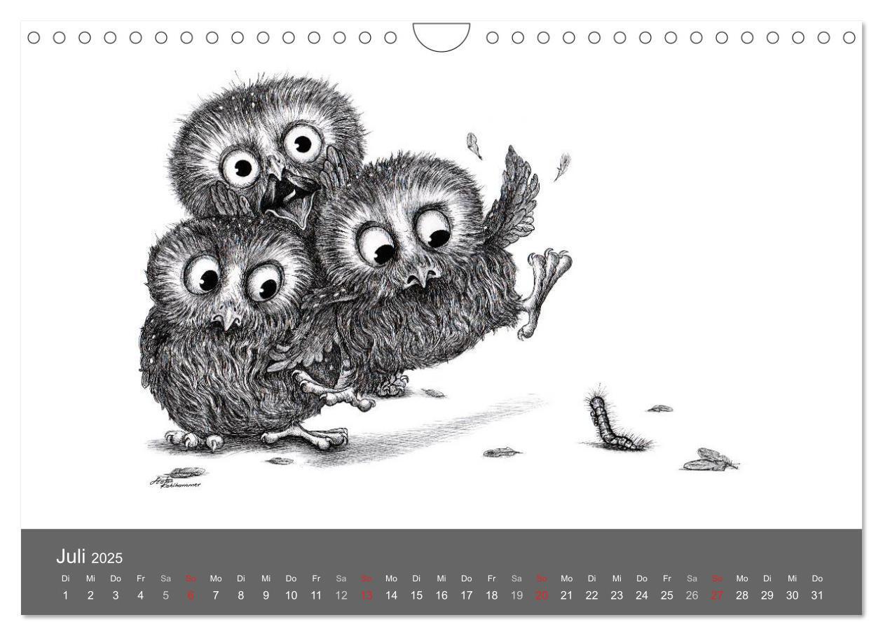 Bild: 9783435825158 | owls &amp; friends 2025 (Wandkalender 2025 DIN A4 quer), CALVENDO...