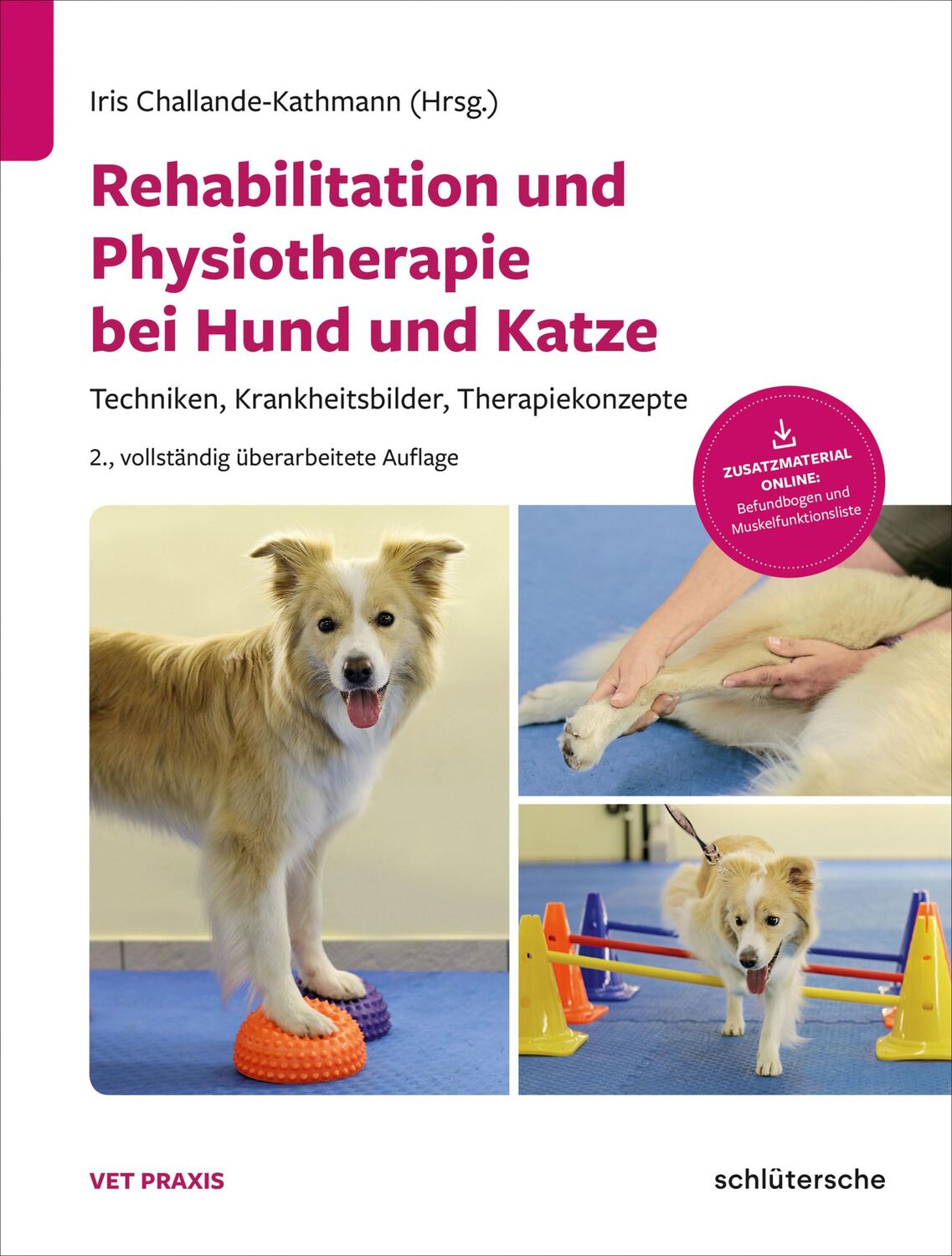 Cover: 9783899936964 | Rehabilitation und Physiotherapie bei Hund und Katze | Buch | 184 S.