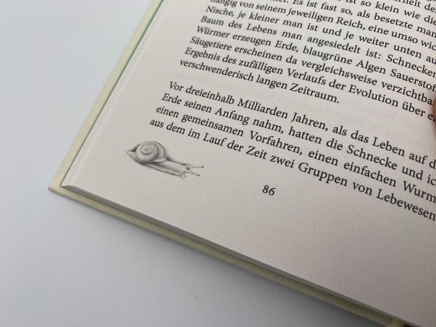 Bild: 9783492071567 | Das Geräusch einer Schnecke beim Essen | Elisabeth Tova Bailey | Buch