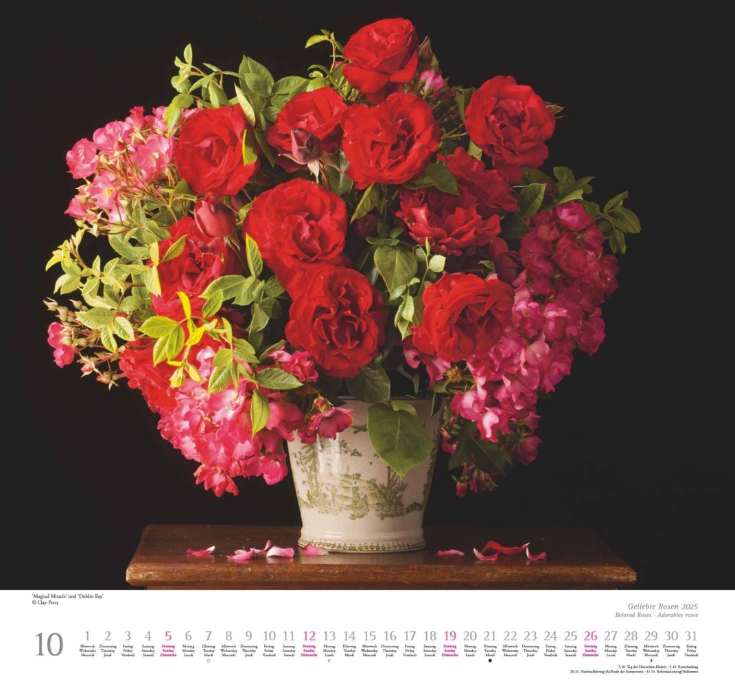 Bild: 4250809653082 | DUMONT - Geliebte Rosen 2025 Wandkalender, 30x30cm, Kalender mit...