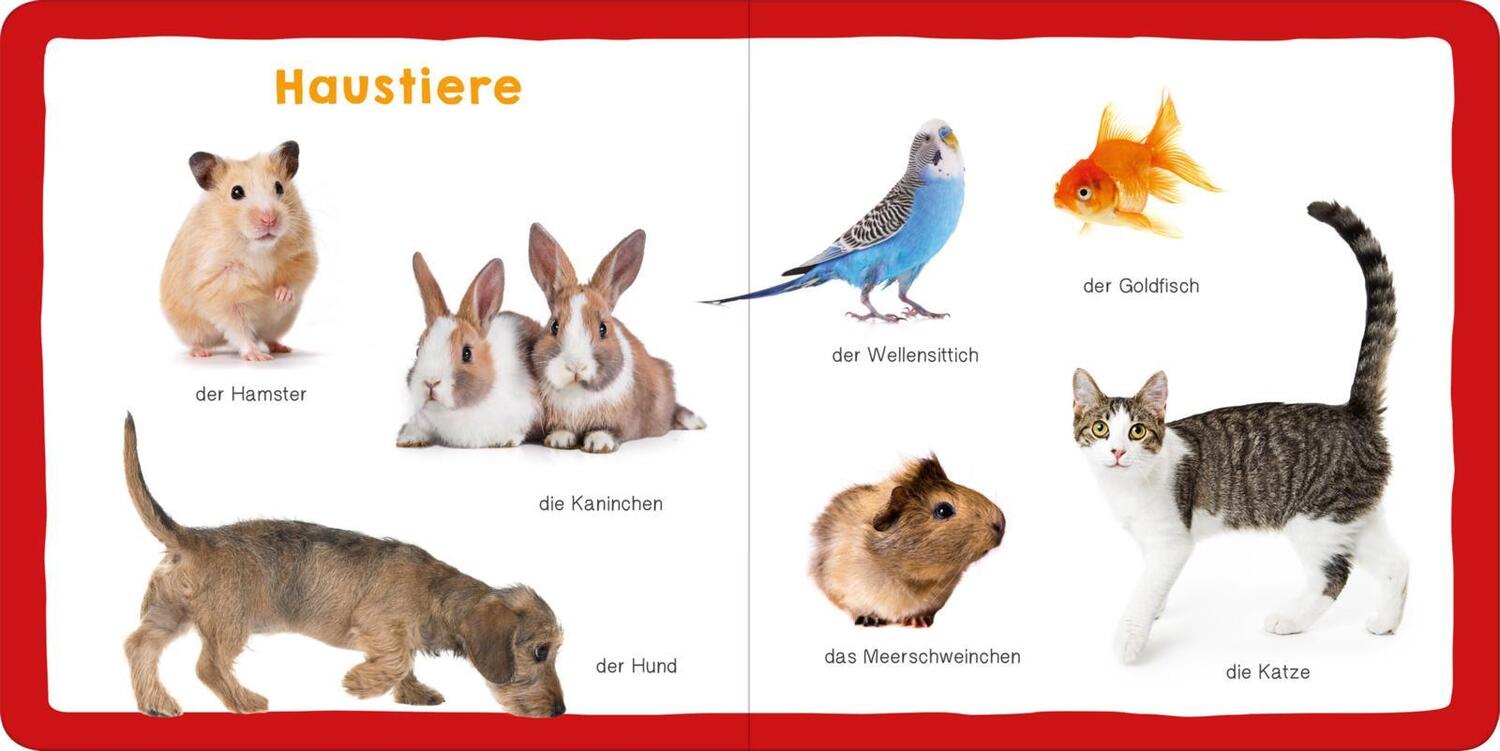 Bild: 9783845827414 | Meine ersten 100 Tiere | Foto-Wörterbuch | Buch | Pappebuch | 40 S.