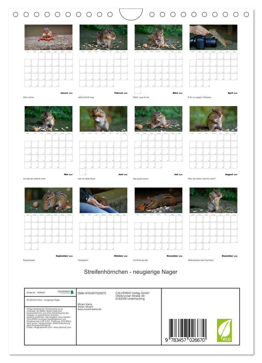 Bild: 9783457026670 | Streifenhörnchen - neugierige Nager (Wandkalender 2025 DIN A4...