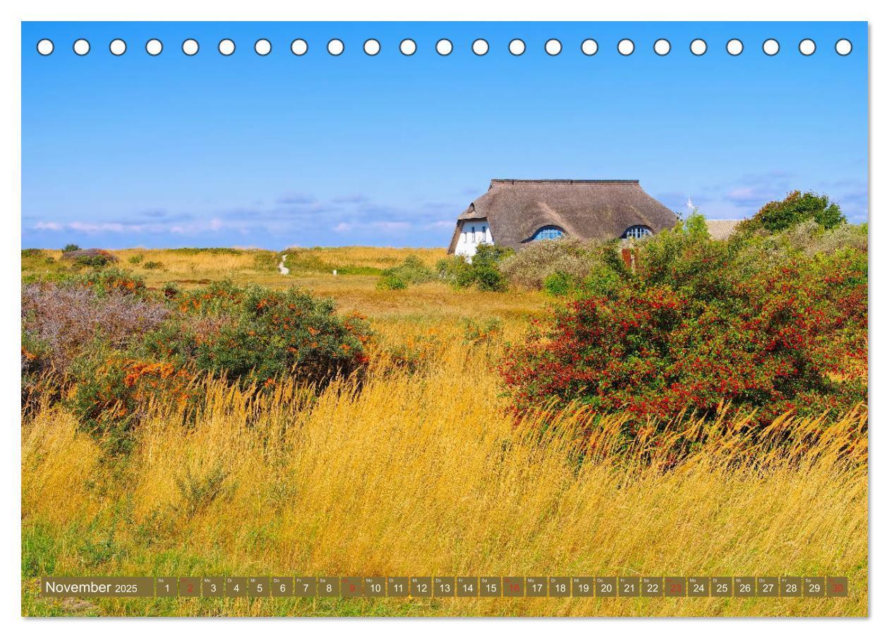 Bild: 9783435264216 | Insel Hiddensee - Dat söte Länneken (Tischkalender 2025 DIN A5...