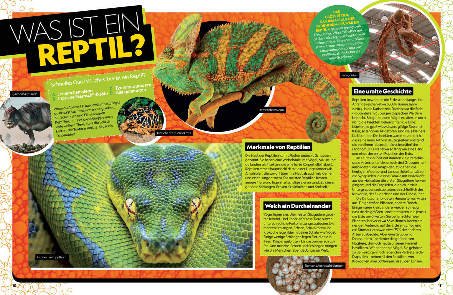 Bild: 9788863126273 | Das ultimative Buch der Reptilien, Die umfassendste Enzyklopädie...