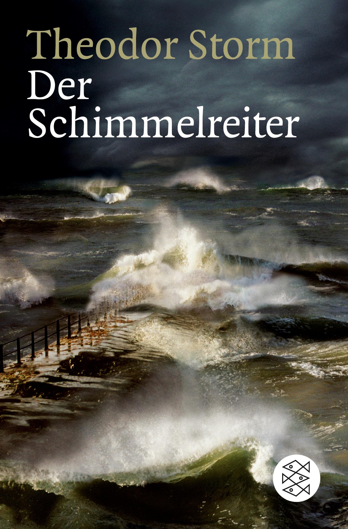 Cover: 9783596159826 | Der Schimmelreiter | Novelle | Theodor Storm | Taschenbuch | 154 S.