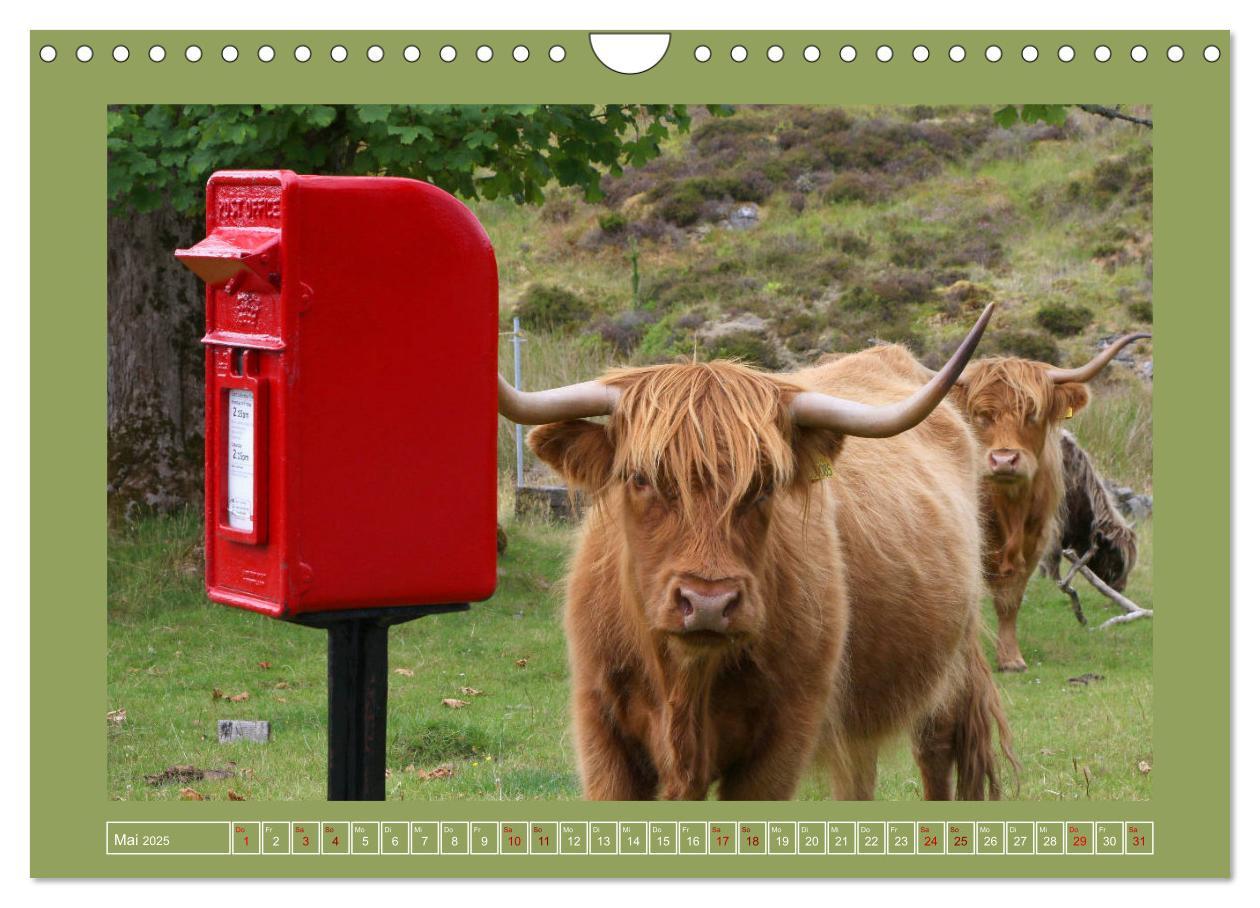 Bild: 9783435171170 | Sie haben Post - Briefkästen in Schottland (Wandkalender 2025 DIN...