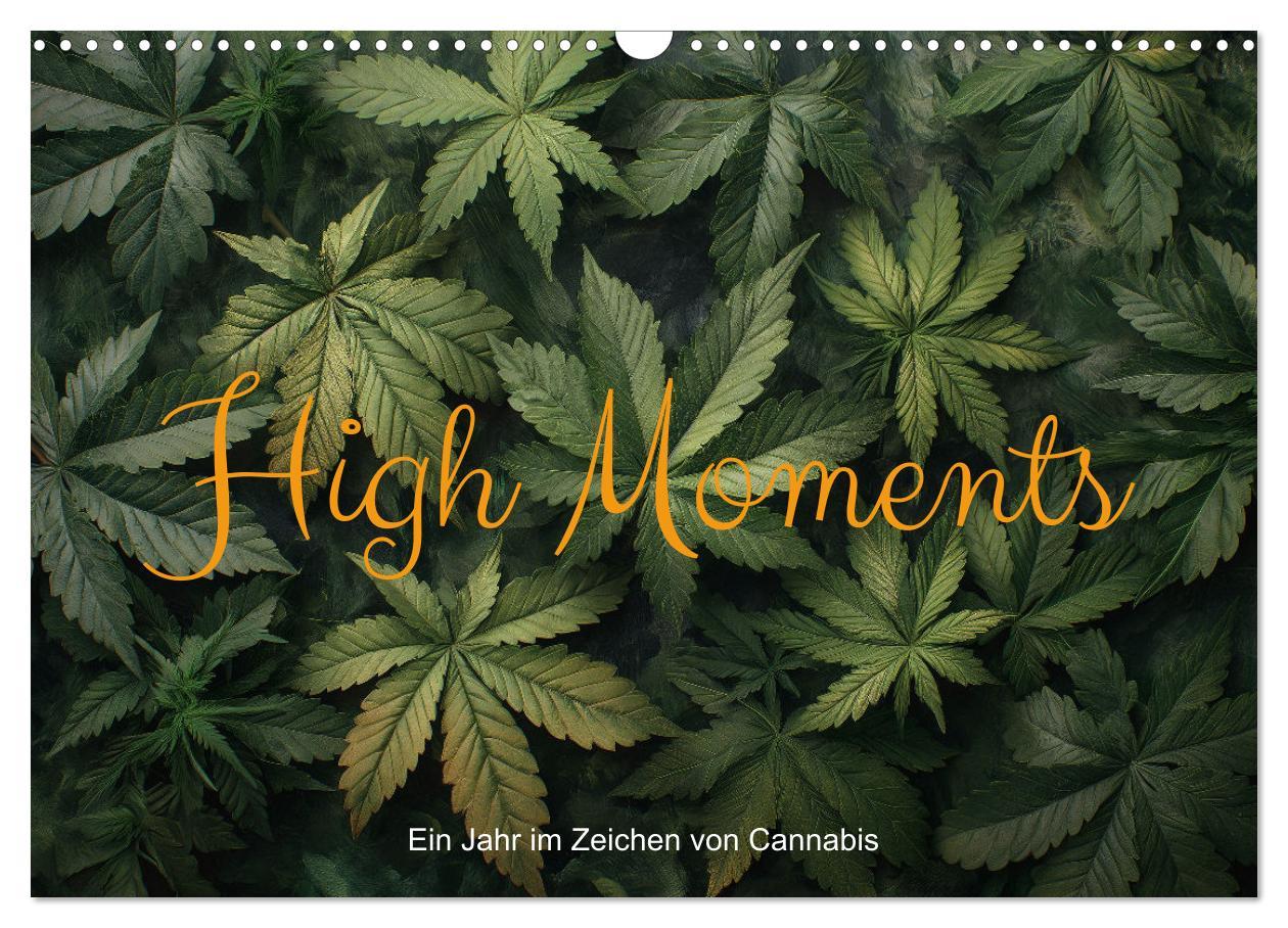 Cover: 9783383764714 | High Moments - Ein Jahr im Zeichen von Cannabis (Wandkalender 2025...