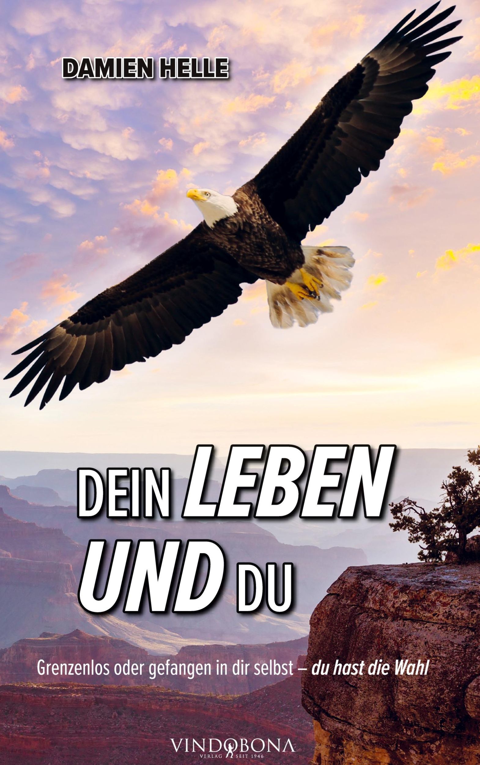 Cover: 9783903574359 | Dein Leben und du | Damien Helle | Buch | HC gerader Rücken kaschiert