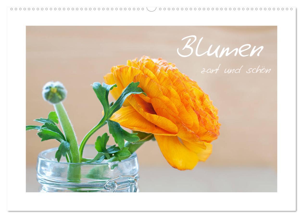 Cover: 9783435458035 | Blumen zart und schön (Wandkalender 2025 DIN A2 quer), CALVENDO...