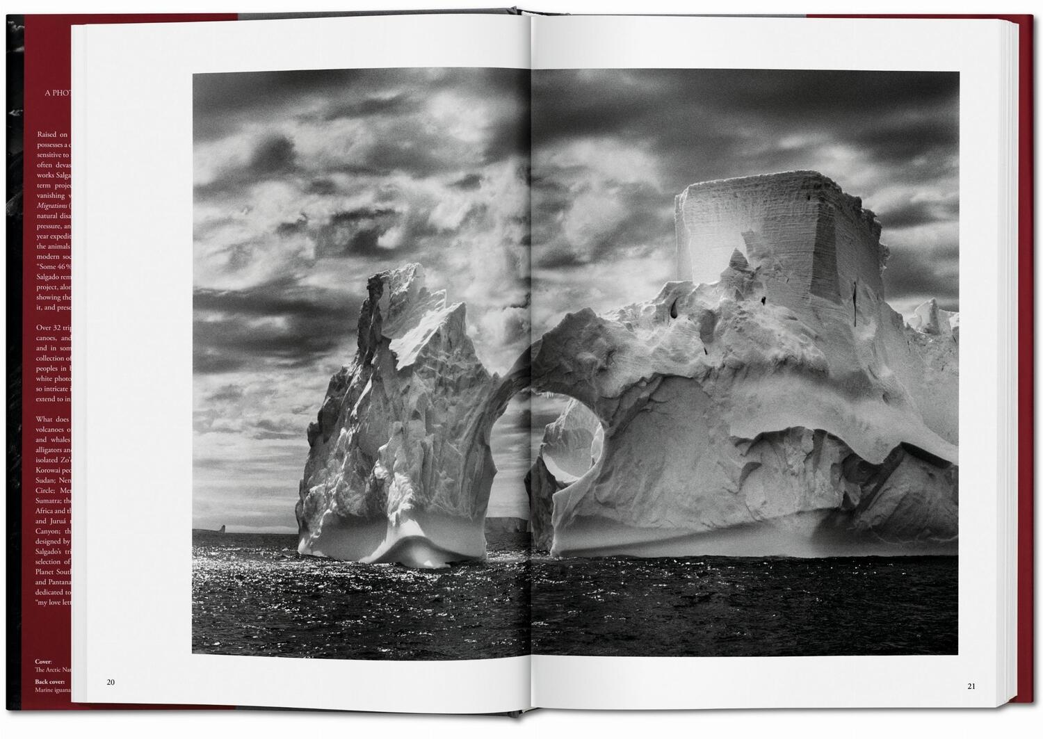 Bild: 9783836542593 | Sebastiao Salgado. Genesis | Trade Edition | Lélia Wanick Salgado