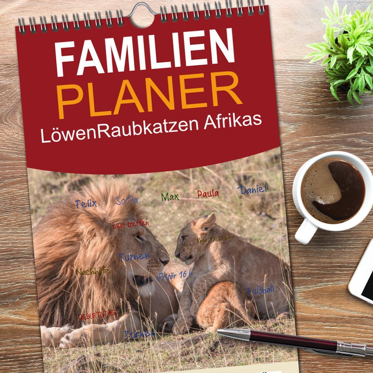 Bild: 9783457114469 | Familienplaner 2025 - Löwen - Raubkatzen Afrikas mit 5 Spalten...