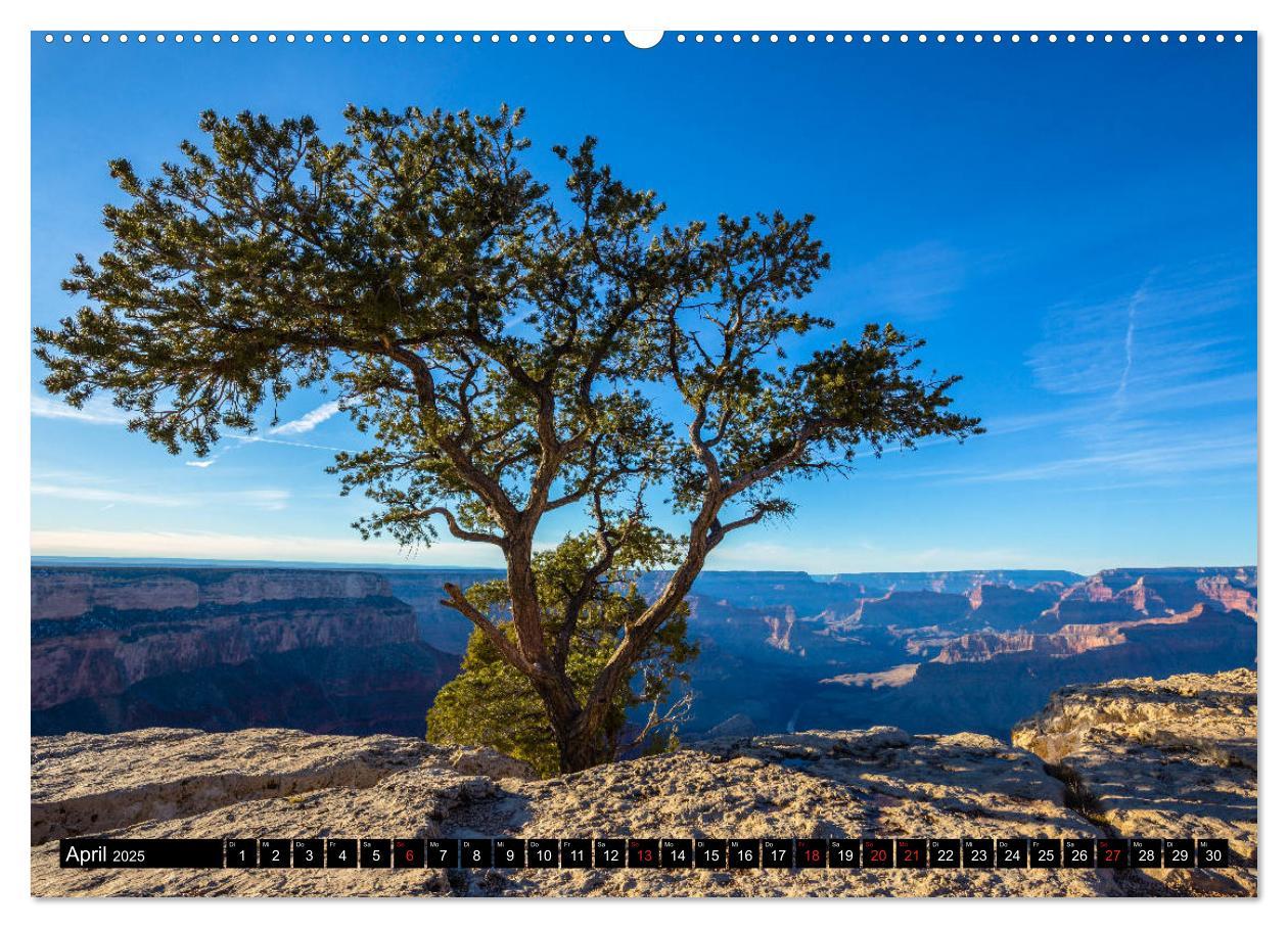 Bild: 9783435309597 | GRAND CANYON - Einblicke (Wandkalender 2025 DIN A2 quer), CALVENDO...