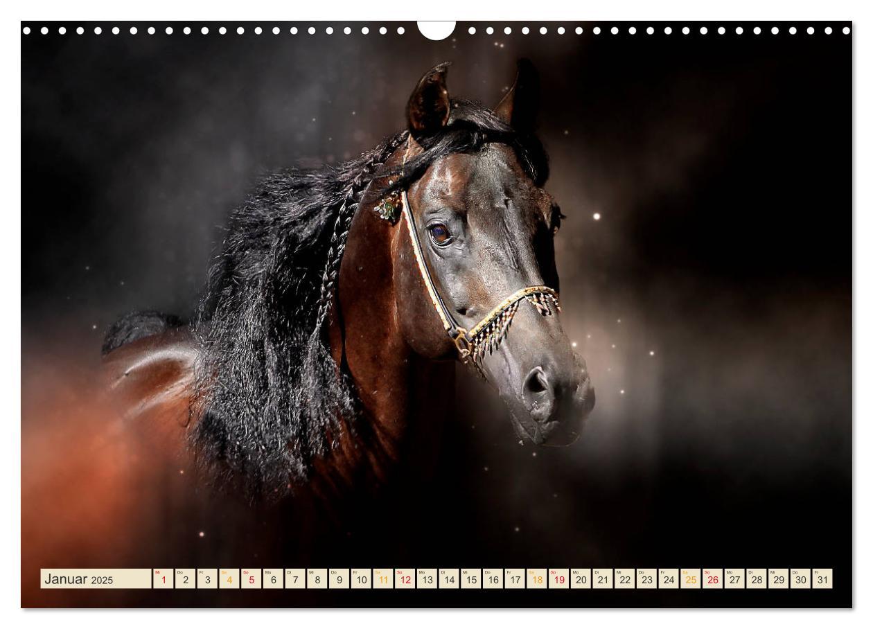 Bild: 9783435293827 | Eleganz und Schönheit - Pferde (Wandkalender 2025 DIN A3 quer),...