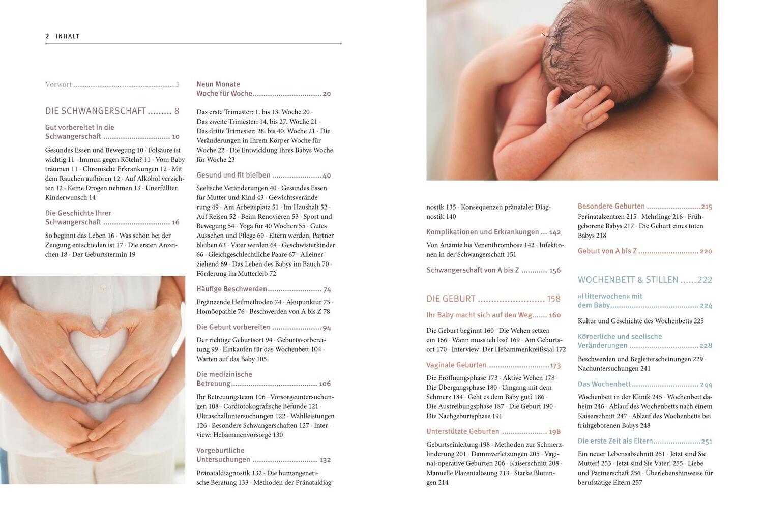 Bild: 9783833814082 | Hebammen-Gesundheitswissen | Silvia Höfer (u. a.) | Taschenbuch | 2012