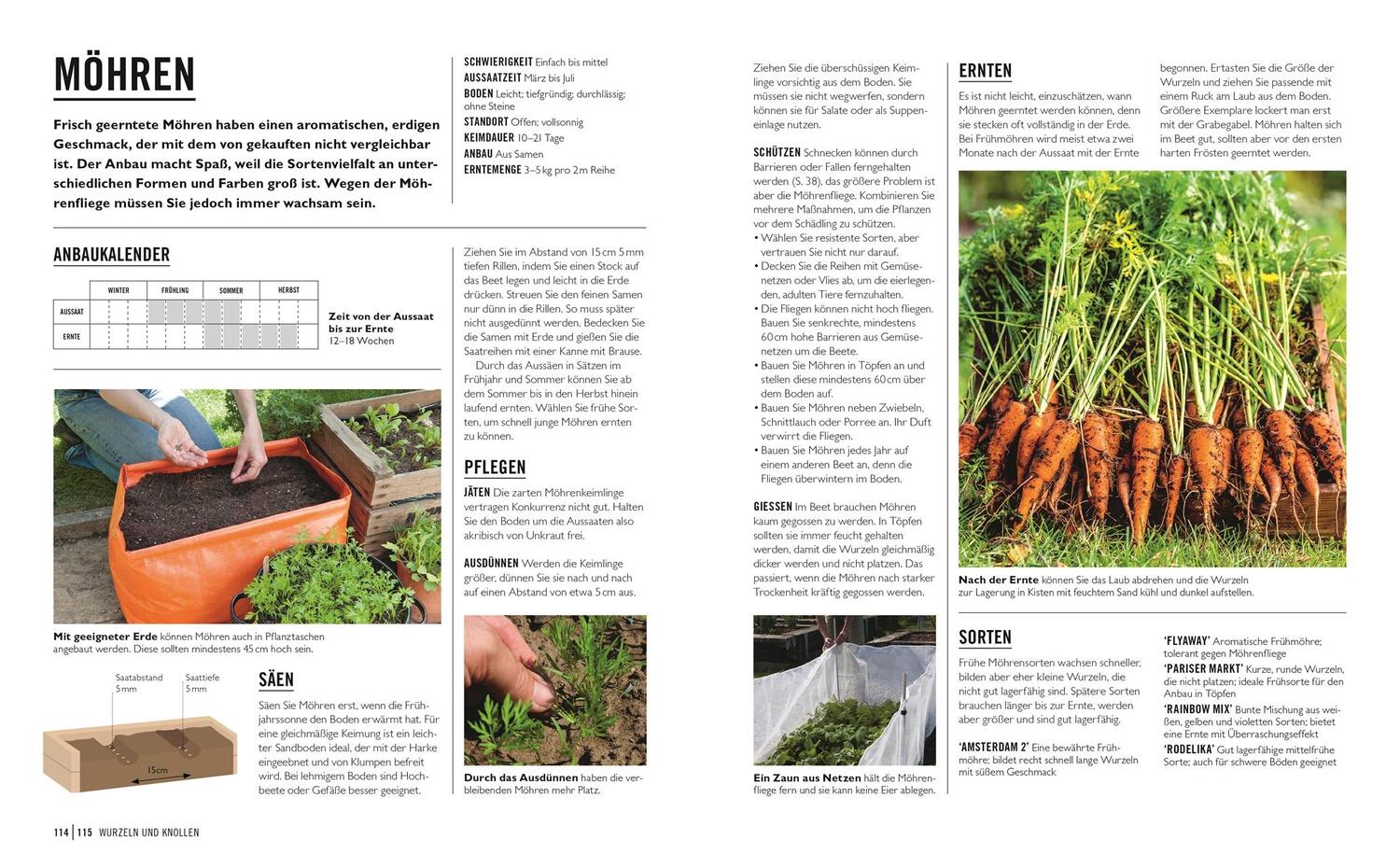 Bild: 9783831043941 | Grünes Gartenwissen. Gemüse anbauen | Jo Whittingham | Taschenbuch