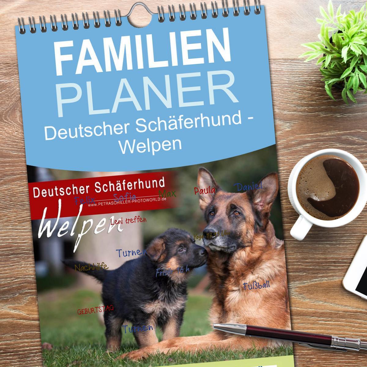 Bild: 9783457118917 | Familienplaner 2025 - Deutscher Schäferhund - Welpen mit 5 Spalten...