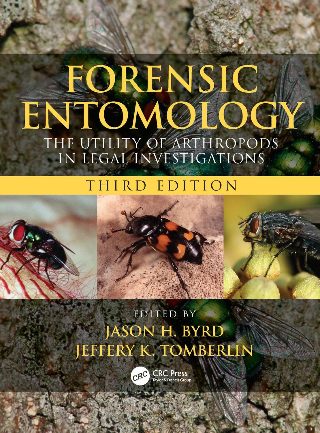 Cover: 9780815350200 | Forensic Entomology | Jason H. Byrd (u. a.) | Taschenbuch | Englisch