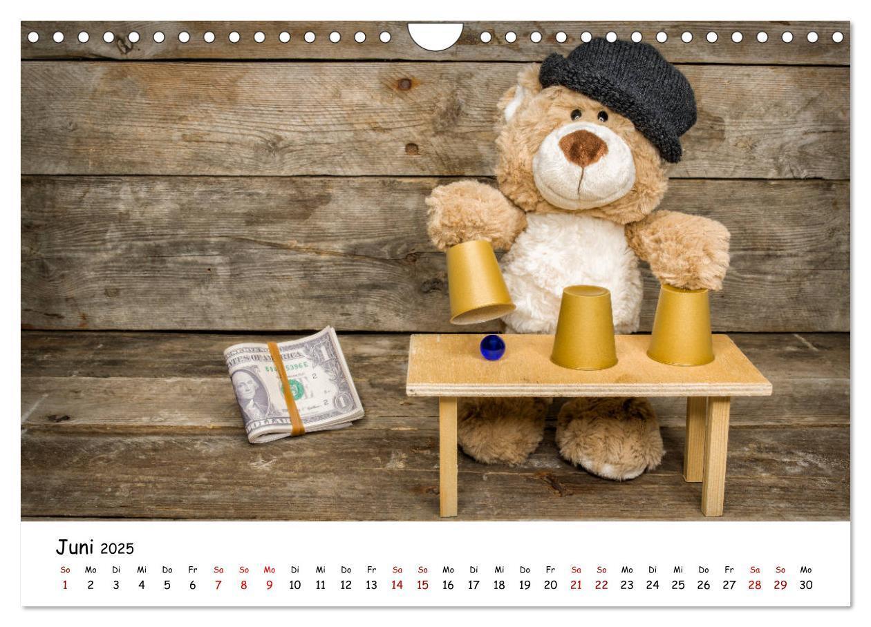 Bild: 9783435254767 | Eddy, der Teddy (Wandkalender 2025 DIN A4 quer), CALVENDO...