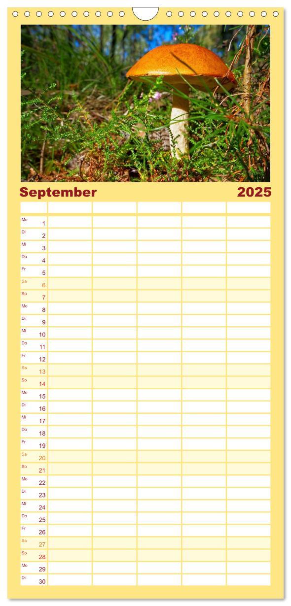 Bild: 9783457104149 | Familienplaner 2025 - Heimische Pilze mit 5 Spalten (Wandkalender,...