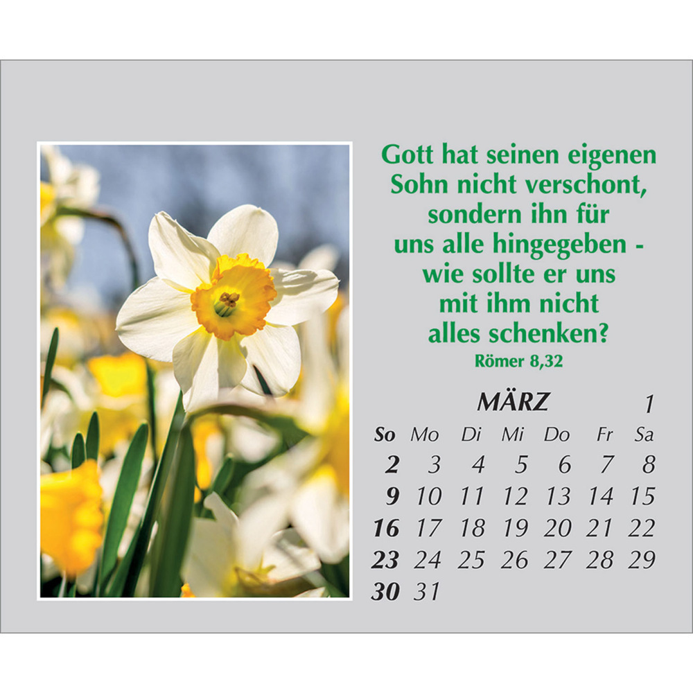 Bild: 9783754861059 | Freude für jeden Tag 2025 | Kalender | Spiralbindung. Spiralbindung