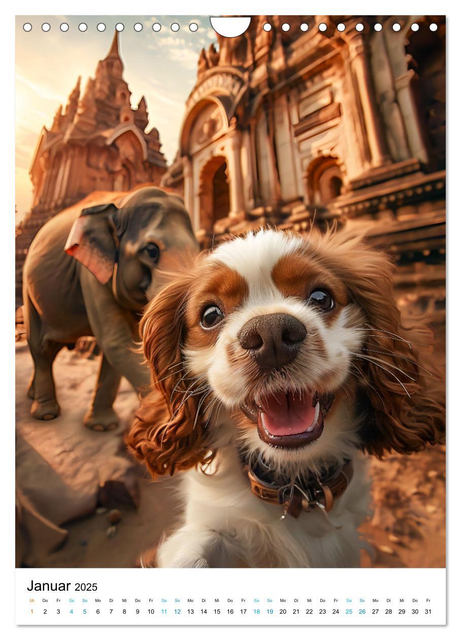 Bild: 9783383763441 | Cavalier King Charles Spaniel - Lustige Weltenreise im Selfie-Modus...