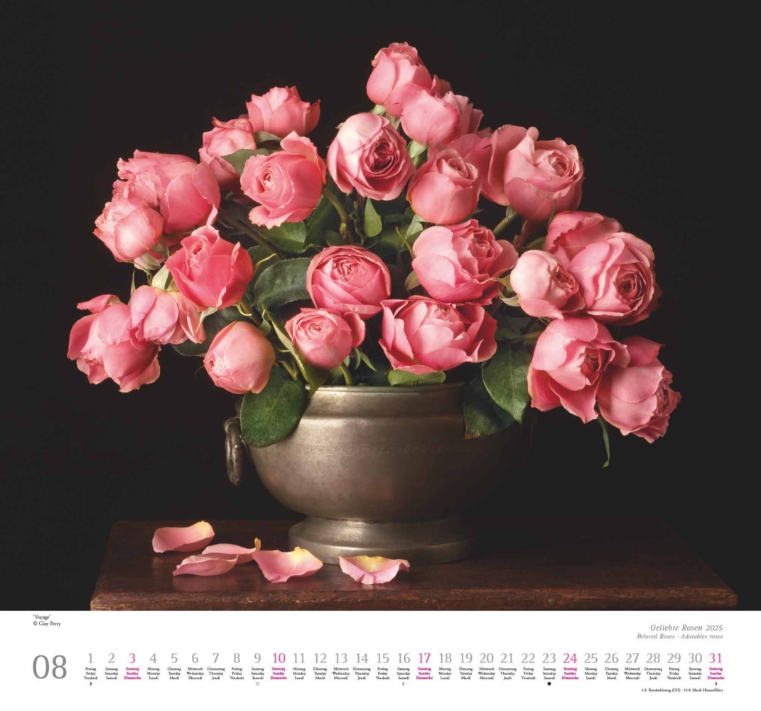 Bild: 4250809653082 | DUMONT - Geliebte Rosen 2025 Wandkalender, 30x30cm, Kalender mit...