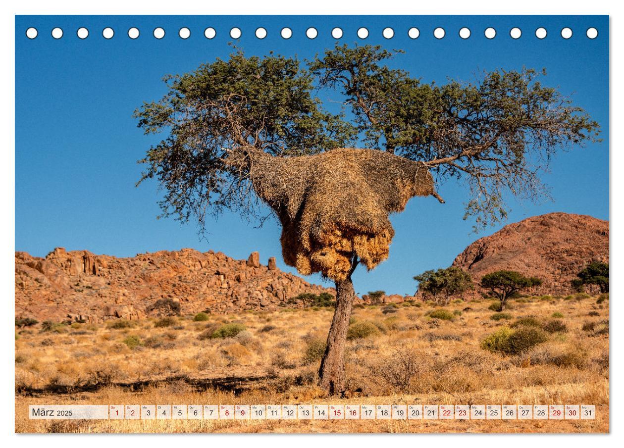 Bild: 9783383853807 | Abenteuerliches Namibia (Tischkalender 2025 DIN A5 quer), CALVENDO...