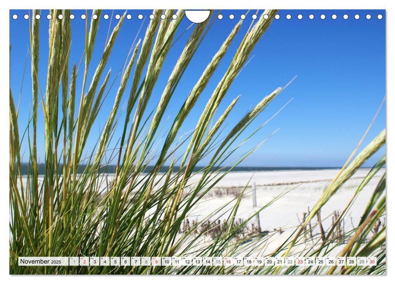 Bild: 9783435491285 | Amrum ¿ Trauminsel in der Nordsee (Wandkalender 2025 DIN A4 quer),...