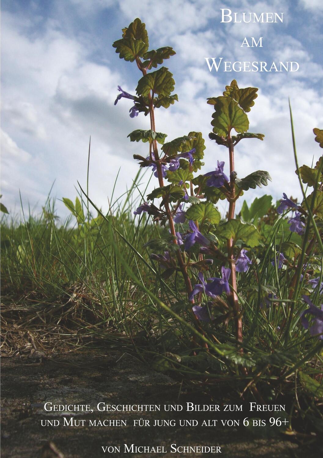 Cover: 9783868705232 | Blumen am Wegesrand | Michael Schneider | Taschenbuch | Paperback