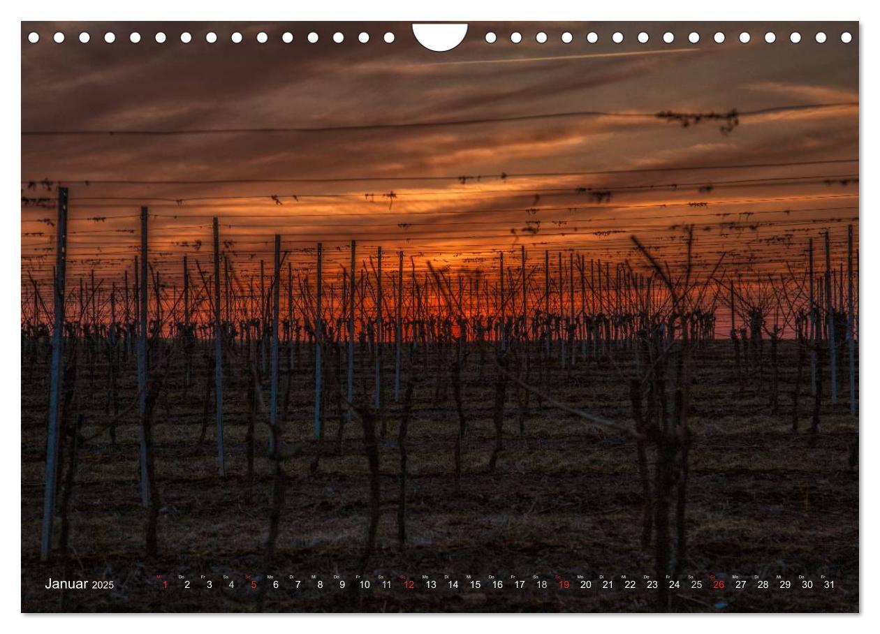 Bild: 9783435610884 | Weinland Franken (Wandkalender 2025 DIN A4 quer), CALVENDO...