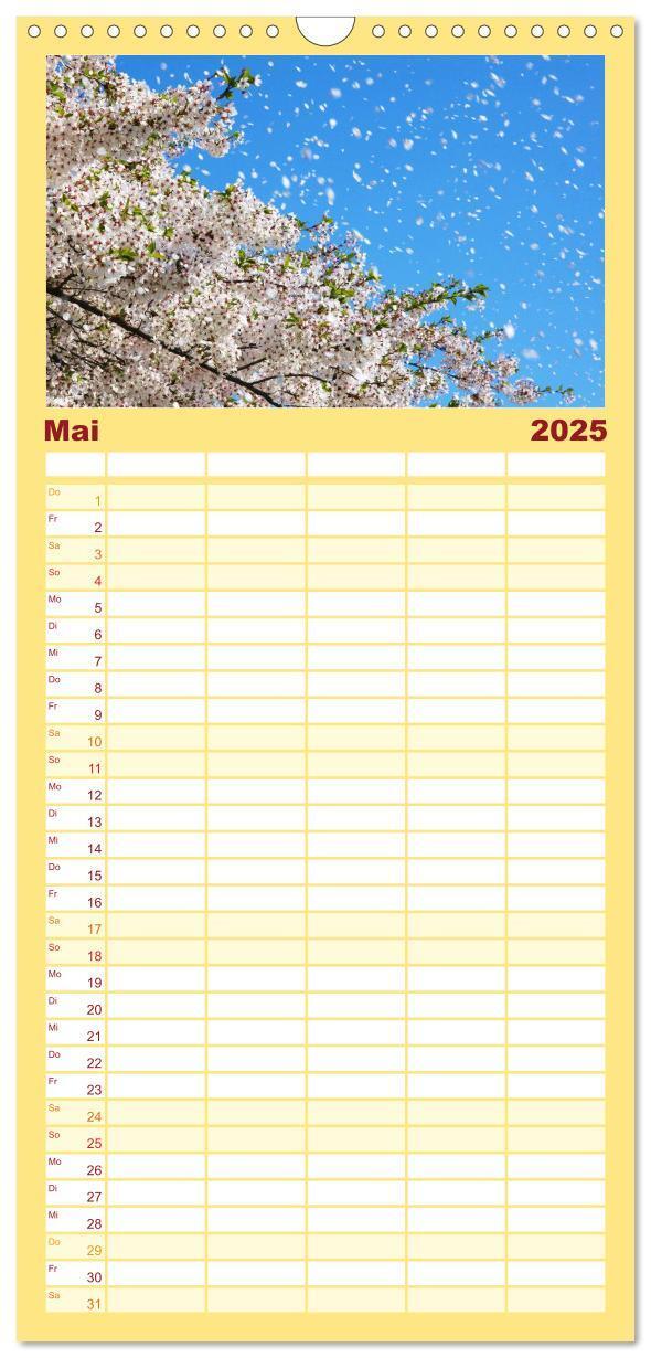 Bild: 9783457105207 | Familienplaner 2025 - Blätter mit 5 Spalten (Wandkalender, 21 x 45...