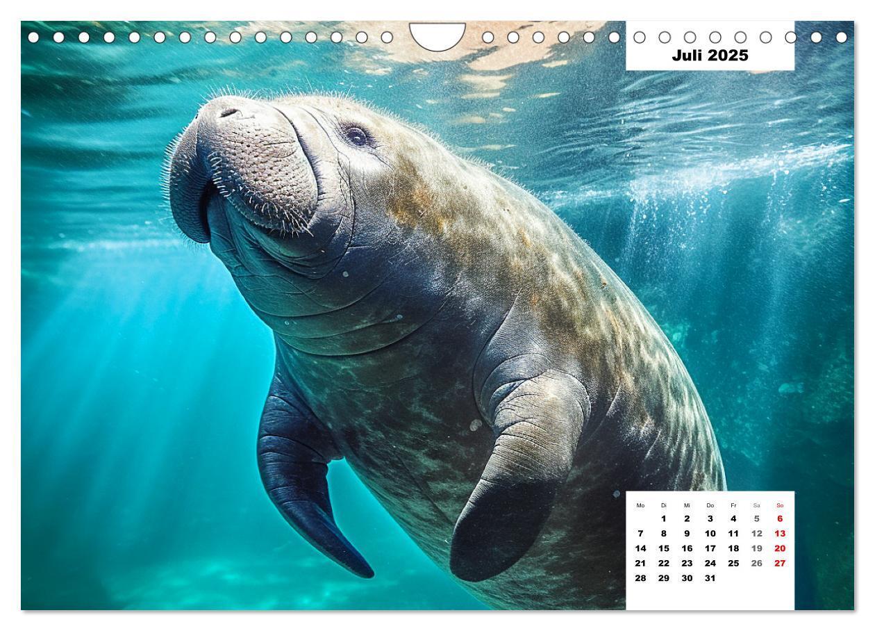 Bild: 9783383858857 | Manatees. Faszinierende Rundschwanzseekühe (Wandkalender 2025 DIN...