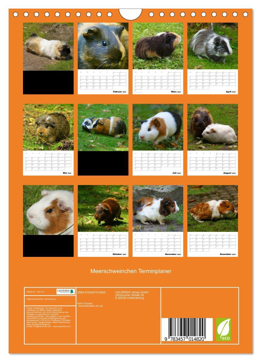 Bild: 9783457014820 | Meerschweinchen Terminplaner (Wandkalender 2025 DIN A4 hoch),...