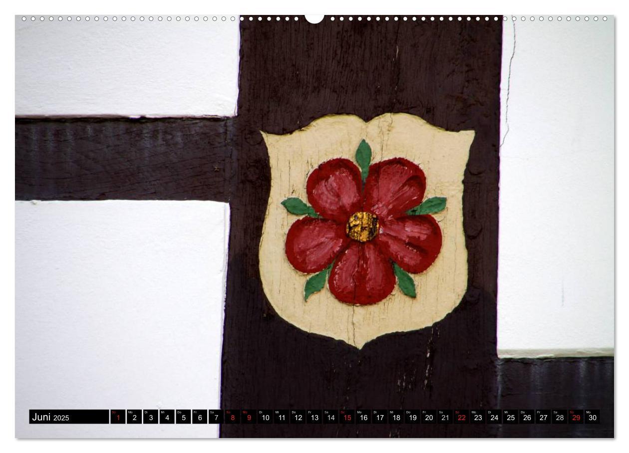 Bild: 9783435703852 | Lippische Rosen (Wandkalender 2025 DIN A2 quer), CALVENDO...