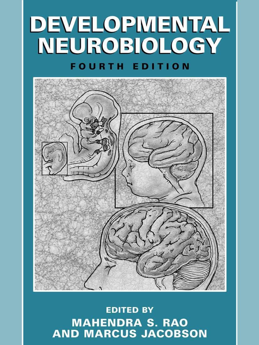 Cover: 9781441934451 | Developmental Neurobiology | Mahendra S Rao (u. a.) | Taschenbuch