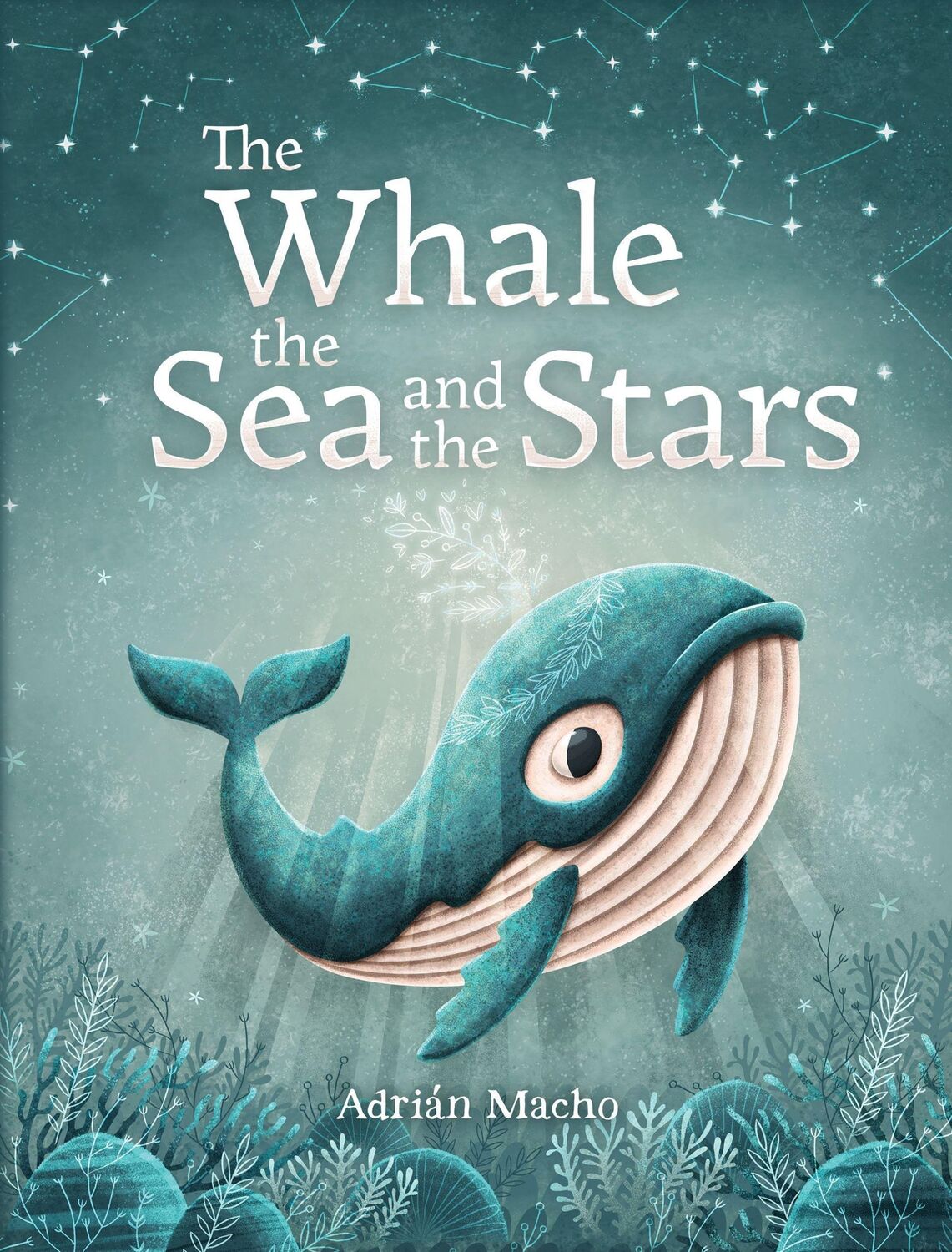 Cover: 9781782505594 | The Whale, the Sea and the Stars | Adrian Macho | Buch | Gebunden