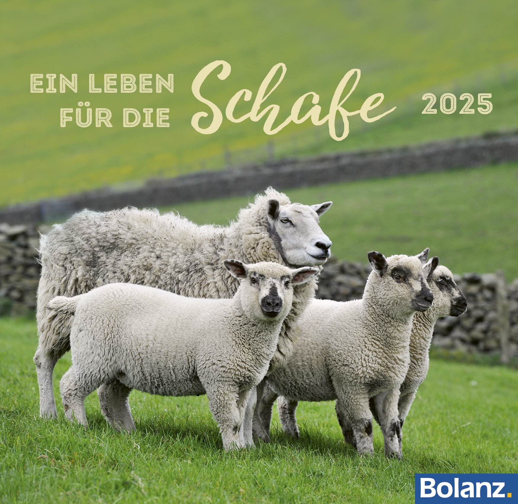 Cover: 9783866038301 | Ein Leben für die Schafe 2025 | Karl-Heinz Nill | Kalender | 13 S.