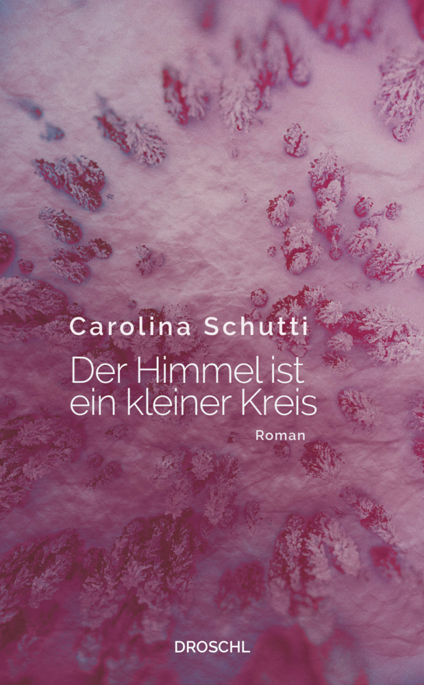 Cover: 9783990590720 | Der Himmel ist ein kleiner Kreis | Roman | Carolina Schutti | Buch