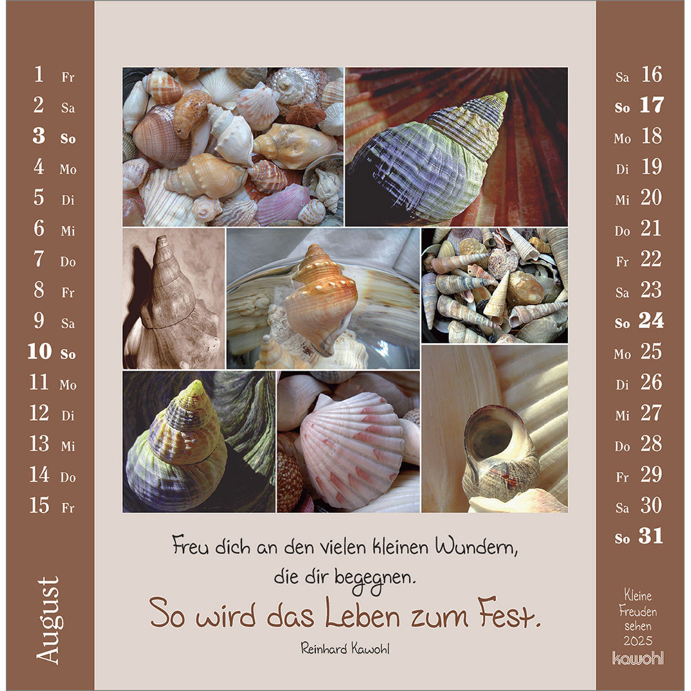 Bild: 9783754817957 | Kleine Freuden sehen 2025 | Postkarten-Kalender mit Bildcollagen