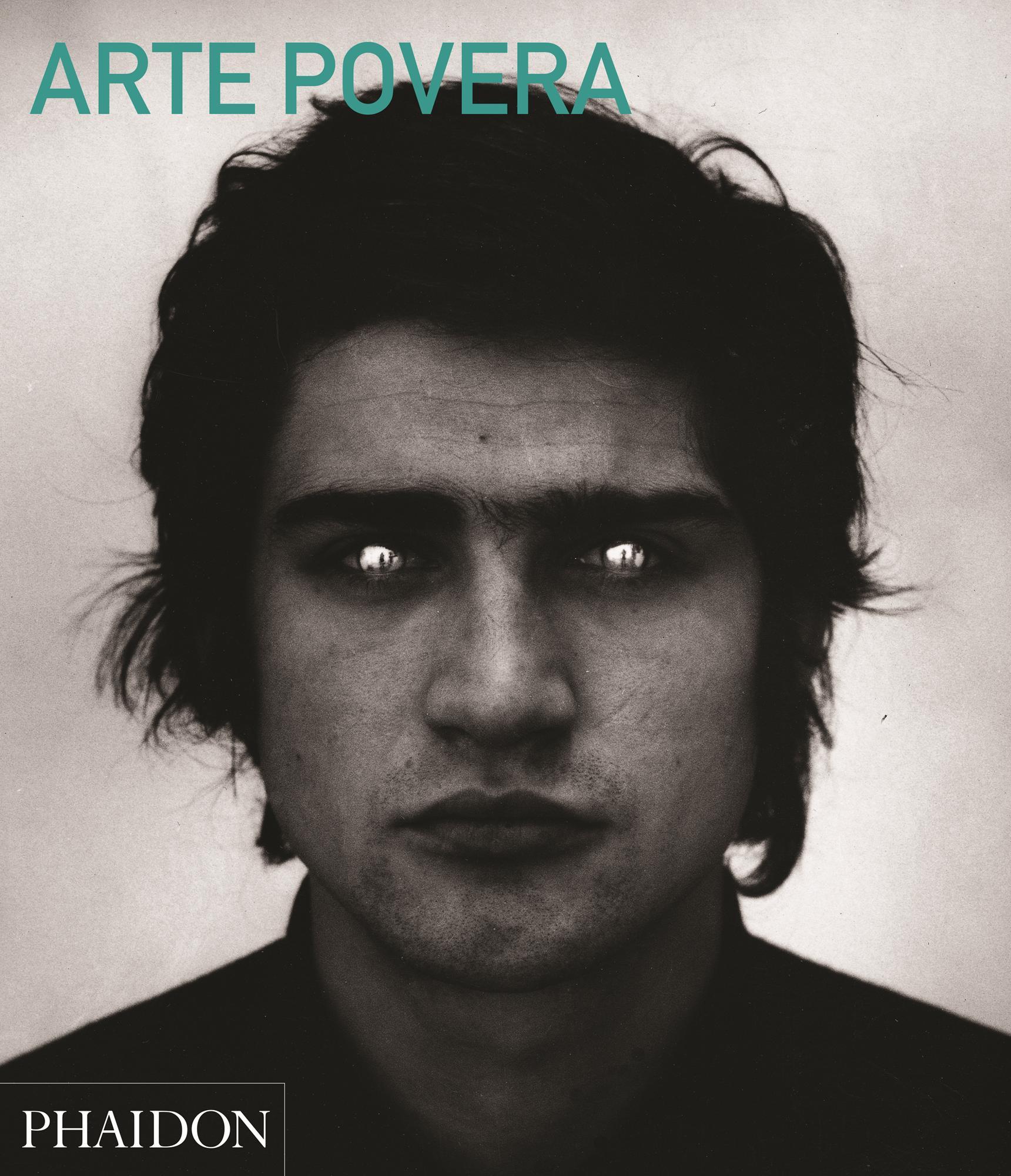 Cover: 9780714868592 | Arte Povera | Abridged Edition | Carolyn Christov-Bakargiev | Buch