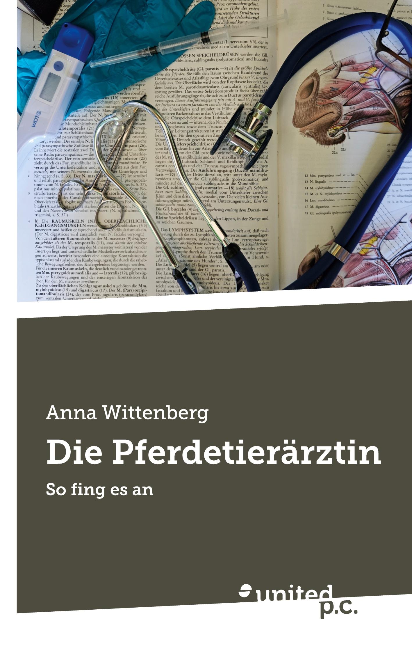 Cover: 9783710329029 | Die Pferdetierärztin | So fing es an | Anna Wittenberg | Taschenbuch