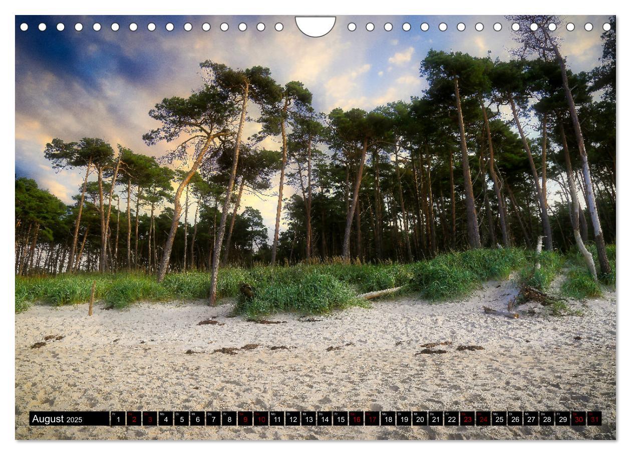 Bild: 9783435024179 | Fischland - Darß- Zingst (Wandkalender 2025 DIN A4 quer), CALVENDO...