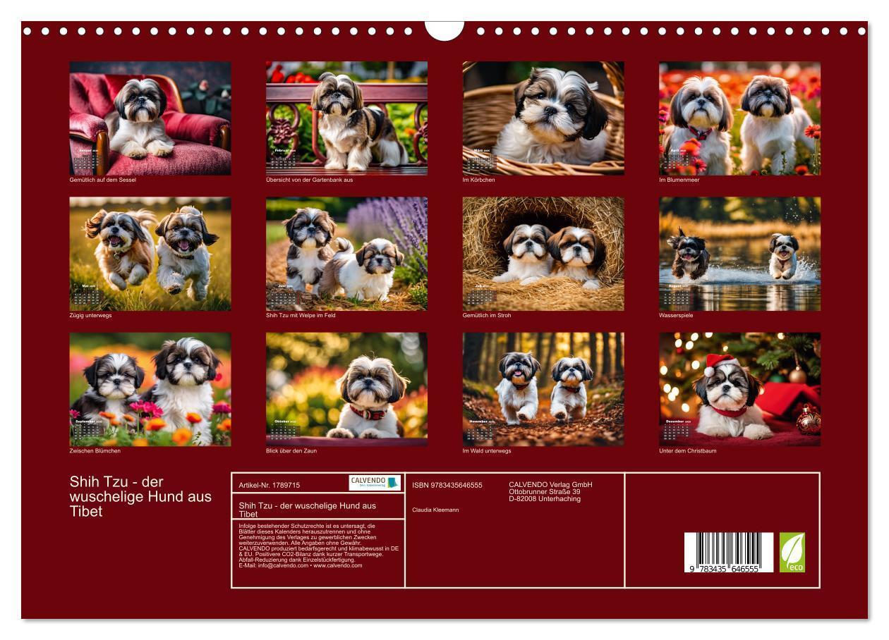 Bild: 9783435646555 | Shih Tzu - der wuschelige Hund aus Tibet (Wandkalender 2025 DIN A3...