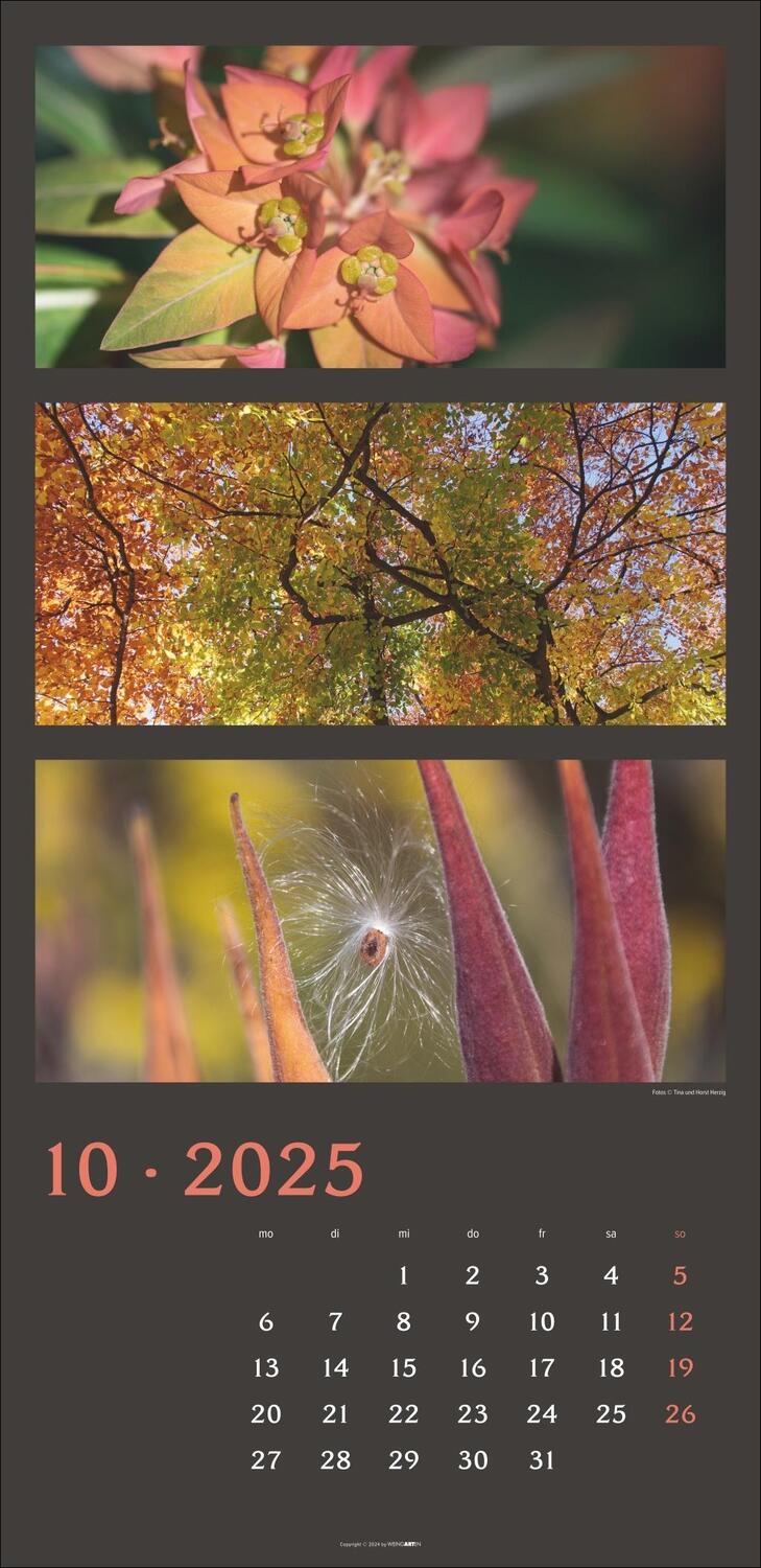 Bild: 9783839900635 | Die Farben der Natur Kalender 2025 | Kalender | Spiralbindung | 14 S.