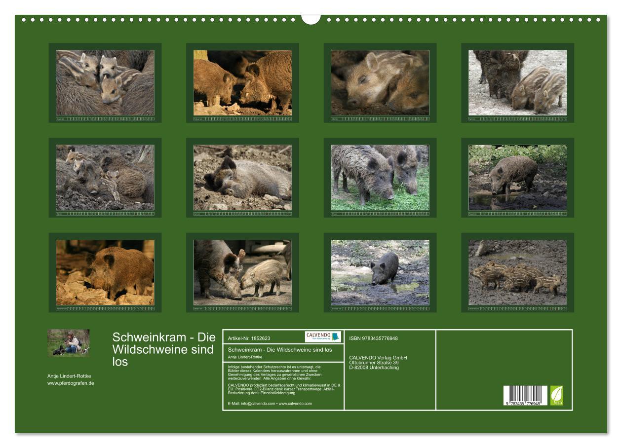 Bild: 9783435776948 | Schweinkram - Die Wildschweine sind los (Wandkalender 2025 DIN A2...